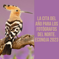 La cita del año para los fotógrafos del norte. ECONOJA 2023