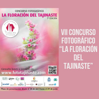 VII Concurso fotográfico “La floración del tajinaste”