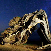 Especial: De fotos en la isla de El Hierro