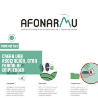 Crear una asociación, otra forma de emprender