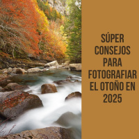 Súper consejos para fotografiar el otoño en 2025
