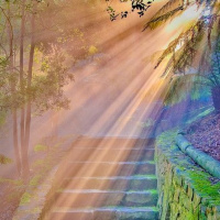 Koniec snu o szaleństwie