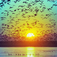 A thing About U Mixtape (Jan 2012)