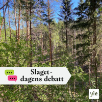 Europa värms upp - hänger klimatpolitiken med? 