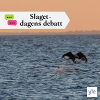 Dags att begränsa örnstammen?