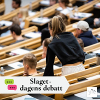 Allt fler högutbildade finländare är arbetslösa - hur ska man förstå det?