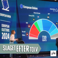 Europa har valt - vad händer nu?