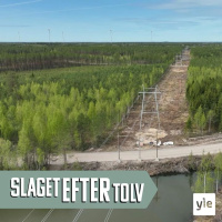 Vindkraften är populär - men acceptansen kan minska