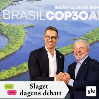 Spelar det någon roll vad klimatmötet beslutar?