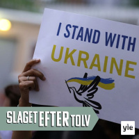 Vad krävs för att uppnå fred i Ukraina?