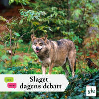 Vems intressen styr när regeringen föreslår ändringar i rovdjurspolitiken?