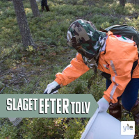 Ruttnar bären bort i skogen i höst?