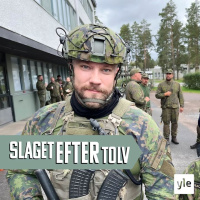 Hur kan vi stärka försvaret av Åland? 