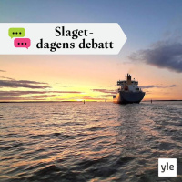 Kvarkenbron – närmare bygge än någonsin, eller en olönsam jätte­investering som borde skrotas?