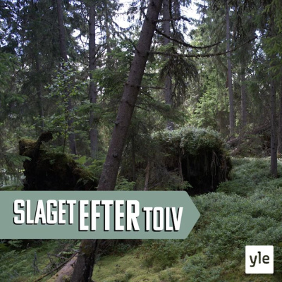 Slaget Efter Tolv - Dagens Debatt