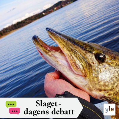 Slaget Efter Tolv - Dagens Debatt