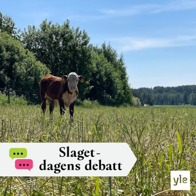 Slaget Efter Tolv - Dagens Debatt
