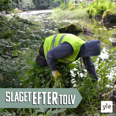 Slaget Efter Tolv - Dagens Debatt