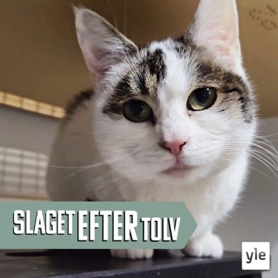 Slaget Efter Tolv - Dagens Debatt