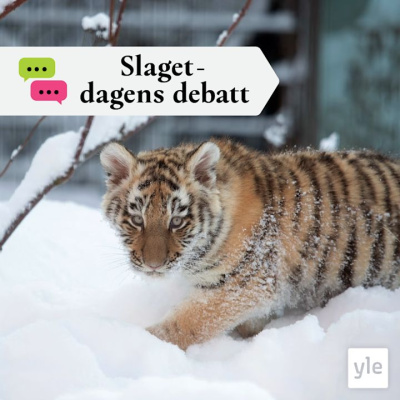 Slaget Efter Tolv - Dagens Debatt