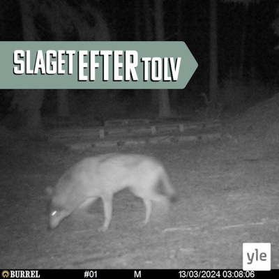 Slaget Efter Tolv - Dagens Debatt