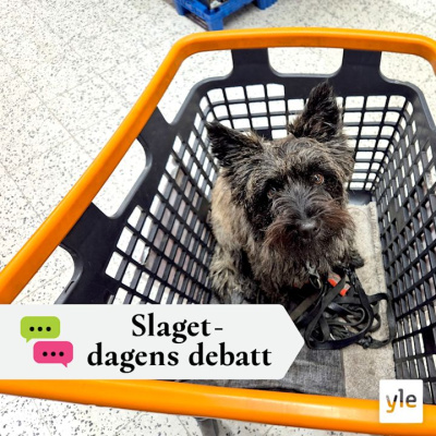 Slaget Efter Tolv - Dagens Debatt