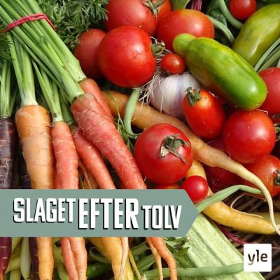 Slaget Efter Tolv - Dagens Debatt