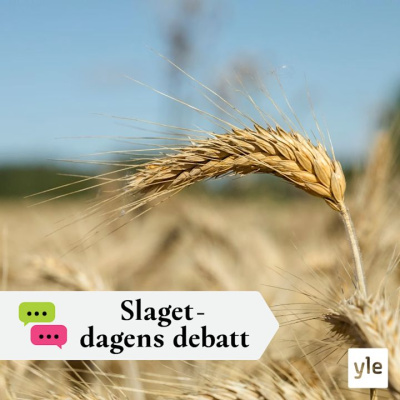 Slaget Efter Tolv - Dagens Debatt