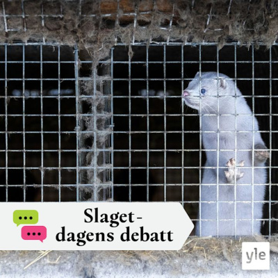 Slaget Efter Tolv - Dagens Debatt