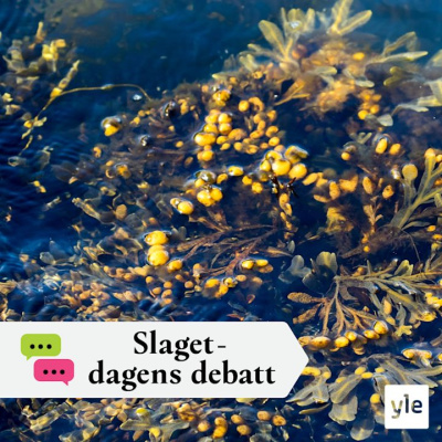 Slaget Efter Tolv - Dagens Debatt