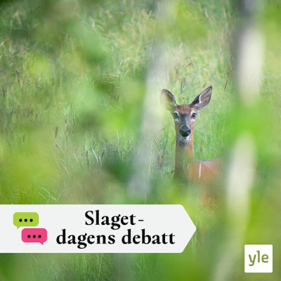 Slaget Efter Tolv - Dagens Debatt