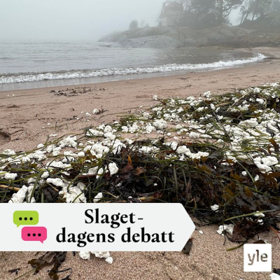 Slaget Efter Tolv - Dagens Debatt