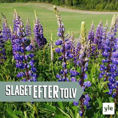 Slaget Efter Tolv - Dagens Debatt