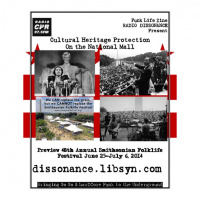Cultural Heritage Preservation on the National Mall - with Punk Life Zine