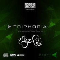 Triphoria Episode 17 Tribute Mix To Aly  Fila