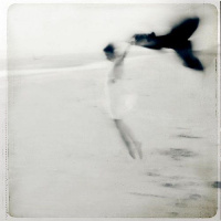 From the Cox handbook : Precious Queen