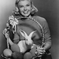 Eggs, Rabbits, Lambs, Doves  Chocolate - An Easter for Peace