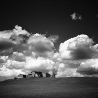 From the Cox handbook : Rabo de Nube