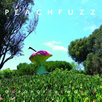 Peachfuzz - On Pop Of The World