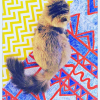 plage nocture juin 2017