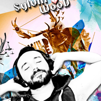 Sylvin Woods Podcast