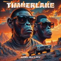 Arei, DJ LEV - Timberlake