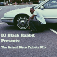 The Actual Disco Tribute Mix