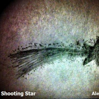 Like a Shooting Star © 2015 Alex Gimenez. All Rights Reserved