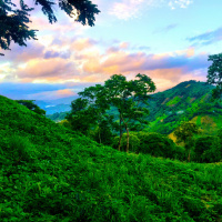 Alexa © 2016 Alex Gimenez. All Rights Reserved.