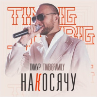 Тимур TIMBIGFAMILY - Накосячу (Pasha Shock Remix)