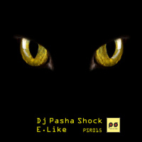 Dj Pasha Shock - E.Like