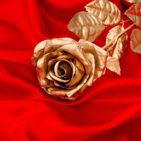 Надежда Гайдукевич — Что-то на богатом, что-то на красивом (Pasha Shock Disco Mix)