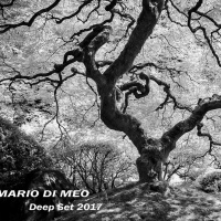 One hour Live Set quotDeepquot 06.2017 - Mario DM