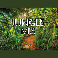 DJ Azur J - Jungle Mix (April 2021)